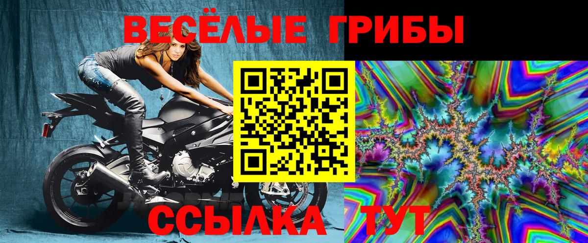 Псилоцибиновые грибы ЛСД Ярославль