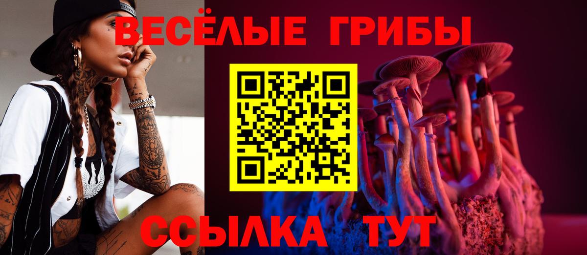Ярославль  Псилоцибиновые грибы GOLDEN TEACHER  Вход с VPN  Галлюциногенные грибы мухоморы 
